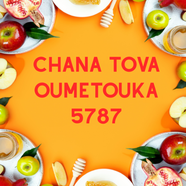 Chana Tova 5787 600×600